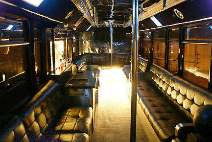Bachelor / Bachelorette Party Buses