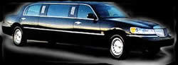 Bachelor / Bachelorette Party Buses