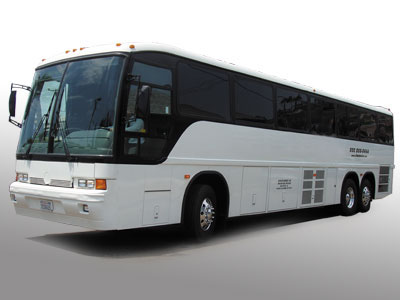 Bachelor / Bachelorette Party Buses